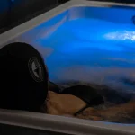 La bañera de hidromasaje es un remedio contra el estrés y el insomnio
