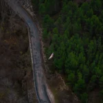 Miles de personas acuden cada año a los cañones del río Mesa para el avistamiento de buitres