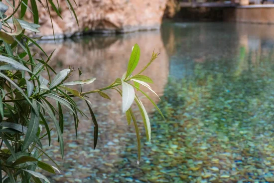 El Balneario de la Virgen es un balneario cerca de Madrid con un completo porfolio de servicios